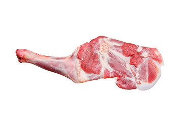 raw lamb meat 