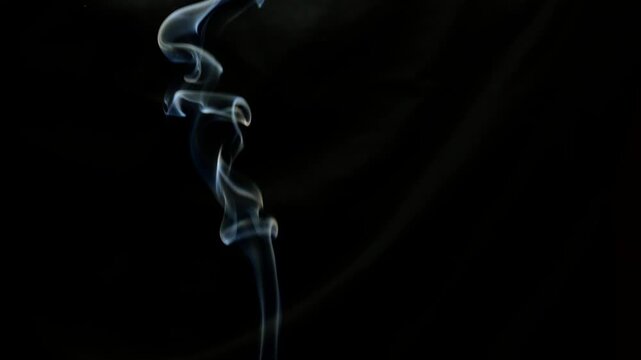 Smoke on a black isolated background.
Beautiful smoldering and flying smoke on a black flon in slow motion.
Smoke. burning, aroma, abstraction