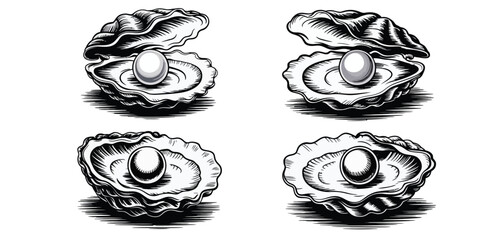Four detailed illustrations of open oysters with pearls