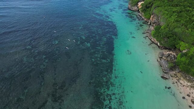 Aerial view of Bali island coastline and group of surfers swimming in the ocean at hot sunny day. Dream vacation