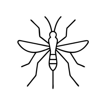 Vector icon of a six-legged snakefly in a minimalist style