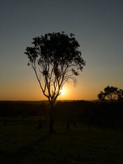 Fototapeta premium Sunset