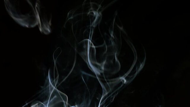 Thick white smoke from a cigarette on a black background.
Abstract and graphic resources.
Smoldering cigarette and smoke on a black background.
Beautiful smoke slowly fills the black background