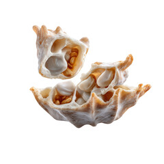 Closeup of a cut fruit revealing its seeds and internal structure, isolated on transparent background