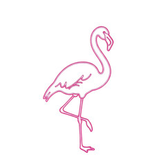 Fototapeta premium Vibrant pink neon flamingo silhouette isolated on transparent background