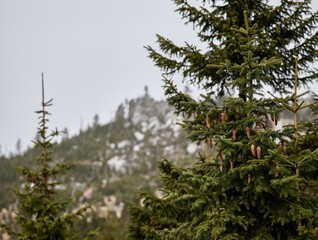 View of a mountainous landscape