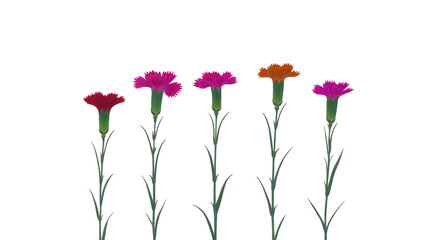 Colorful flowers various shades of pink and orange, standing tall with green stems and leaves, create vibrant and cheerful display. These flowers symbolize beauty and joy, perfect for decoration