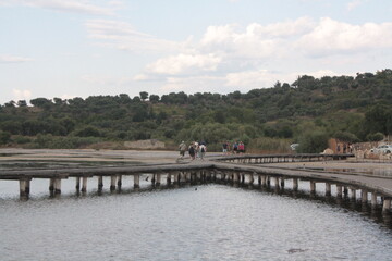 Obraz premium bridge over river
