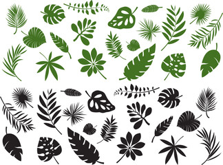 Obraz premium Set of Tropical Leaf Vector Illustrations | Exotic Jungle, Palm, and Botanical Design Collection