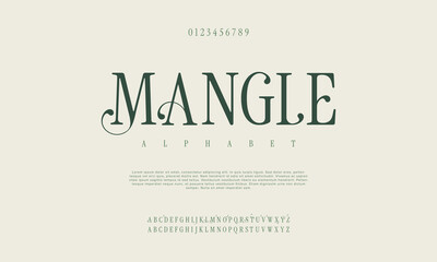 Mangle Classy elegant font, vintage type or luxury premium typeface, vector English royal alphabet. Classic typography in modern or old art deco style, serif letters for modern or retro poster font
