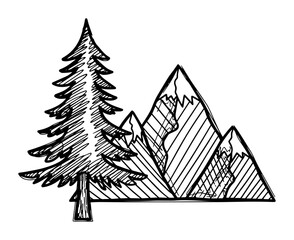 Fototapeta premium mountain and pine tree hatch sketch vector icon