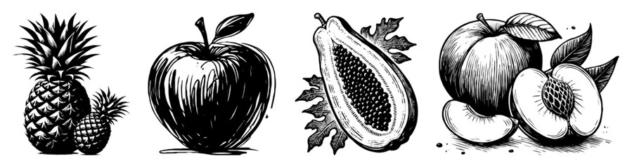 tropical fruit sketch vector collection