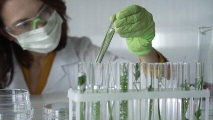 Woman scientist with dark hair wearing a lab coat, green gloves and mask holding a test tube with...