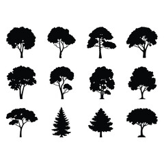 Tree Silhouettes