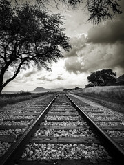The Tracks at Ko Olina Hawaii - Black and White