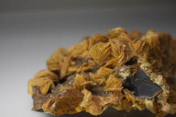 Close-up of a mineral specimen with golden-brown crystals