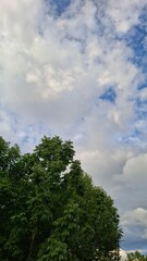 in the evening, sunset, beautiful clouds in the blue sky, summer season, nice summer weather