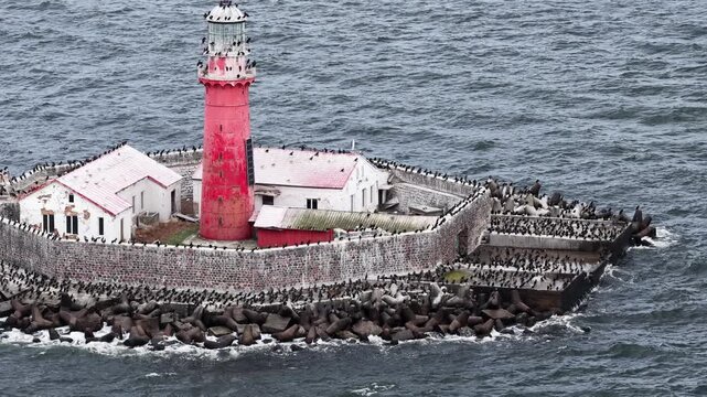 Detailed view of Kolka Lighthouse in the Baltic Sea, Latvia, surrounded by stone walls and breakwaters, with numerous seabirds perched on the structure above the waves.