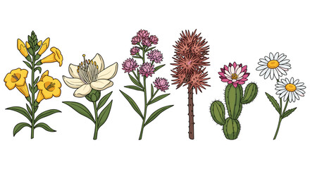 Obraz premium Botanical Illustration: Diverse Floral and Desert Plants on White Background