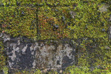 Background stone wall overgrown with moss