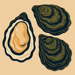 Oysters. Fresh seafood vector isolated illustration