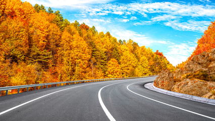 panoramic road view in the forest in autumn season. beautiful road landscape surrounded by colorful...