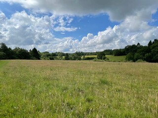 Fototapeta premium Serene rural landscape with grassy field and cloudy sky.