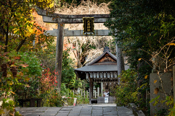 Stone Torii Gate Leading to Japanese Shinto Shrine in Autumn