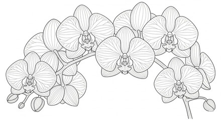 Aquarell Vorlage Orchideen auf Zweigen