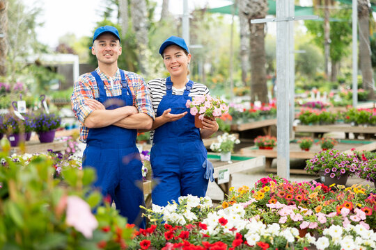 Two confident garden center staff members, young girl and man in blue overalls and caps, standing confidently amidst vibrant displays of ornamental flowers, ready to assist customers choose plants