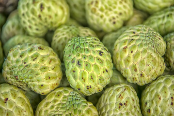 Close-up of fresh sugar apple (Annona squamata) fruits with their characteristic bumpy green skin.  