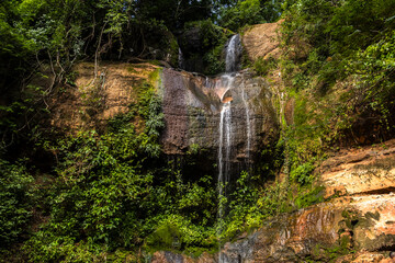 Water from a stream falls over rocks to form a small waterfall in the interior of an Atlantic Forest in Brazil