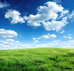 Fototapeta premium Lush green field under a vibrant blue sky dotted with puffy white clouds