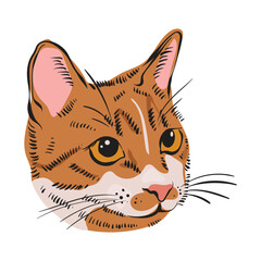 Vector illustration of head of domestic ginger cat. Cute pet with character and yellow eyes. Adorable portrait orange kitten on a white background in a flat style. For stickers, textiles and scrapbook