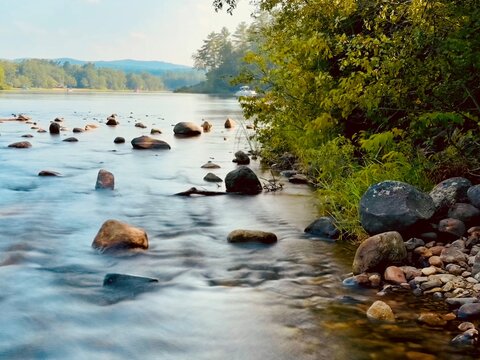 The Lakes Region, Silver Lake. Stunning early morning marsh, grass and wildflowers by shore. New Hampshire. Laid back country vibe. Hike, fish, kayak, swim or boating. Crystal clear mountain water. 
 - Powered by Adobe