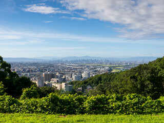山の広場から見る新緑の木々と街の風景