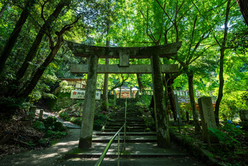 Fototapeta premium 御自作天満宮 鳥居 福岡県筑紫野市