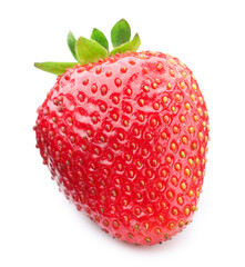 One fresh ripe strawberry isolated on white