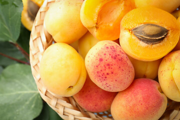Fresh apricots in wicker basket and green leaves, top view