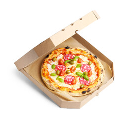 Delicious pizza with salami, olives, tomatoes and basil isolated on white