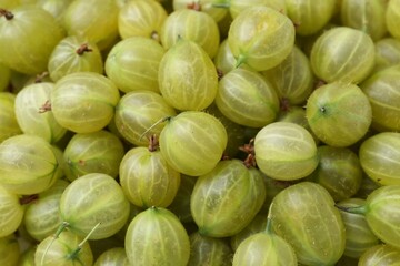 Many fresh green gooseberries as background, top view