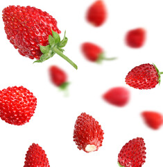 Fresh ripe wild strawberries in air against white background