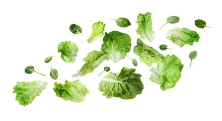 Plakat Fresh lettuce and spinach leaves flying against white background