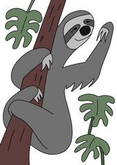 Sloth © adonay