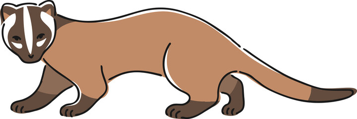 手描きのハクビシンのイラスト