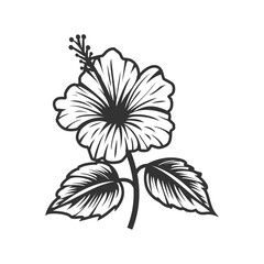 One Line Hibiscus Flower - Continuous Hand Drawn Vector
