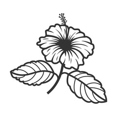 Fototapeta premium Hibiscus Wireframe Illustration - Delicate Line Flower Design 