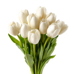 A vibrant bouquet of white tulips elegantly arranged with lush green leaves, showcasing their delicate petals, perfect for decoration or gifting on special occasions