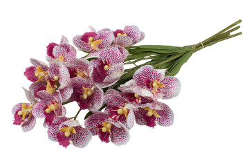 A vibrant bouquet of pink and white orchids arranged with green stems, showcasing their intricate patterns and textures, perfect for floral decoration or gift-giving