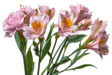 A vibrant bouquet of pink alstroemeria flowers with delicate petals and striking yellow centers, beautifully arranged against a soft background, perfect for decoration or gifting
